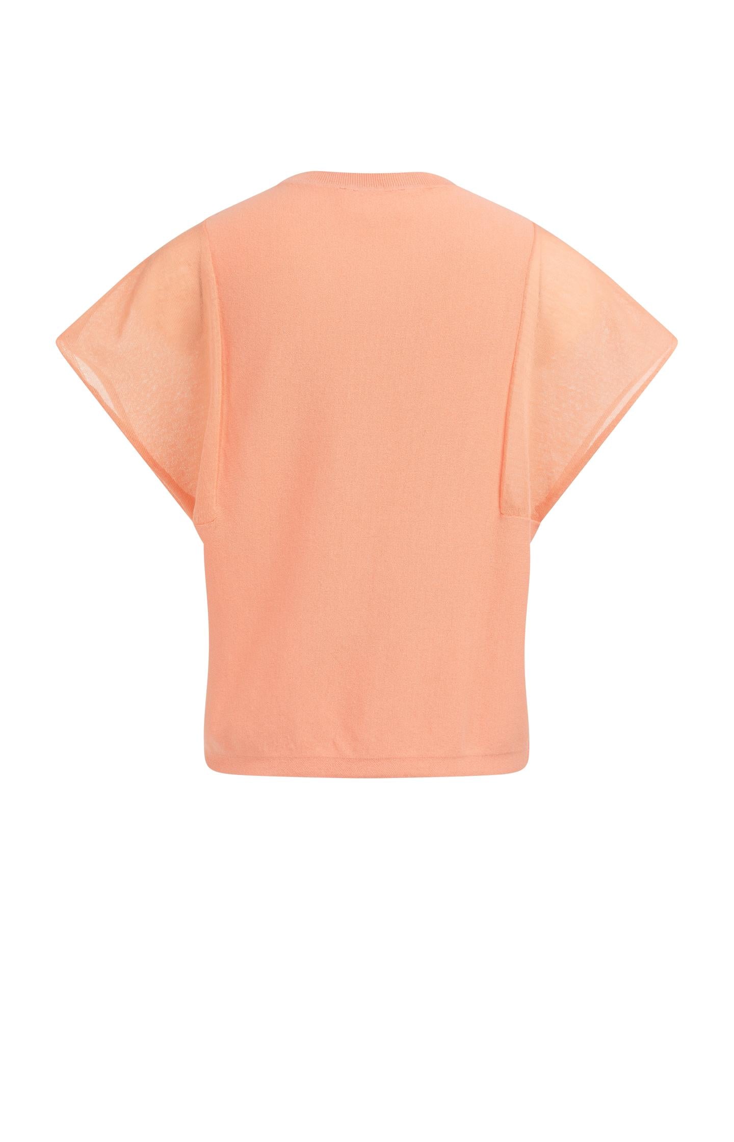 Top with sheer short sleeves and crew neck - Type: lookbook