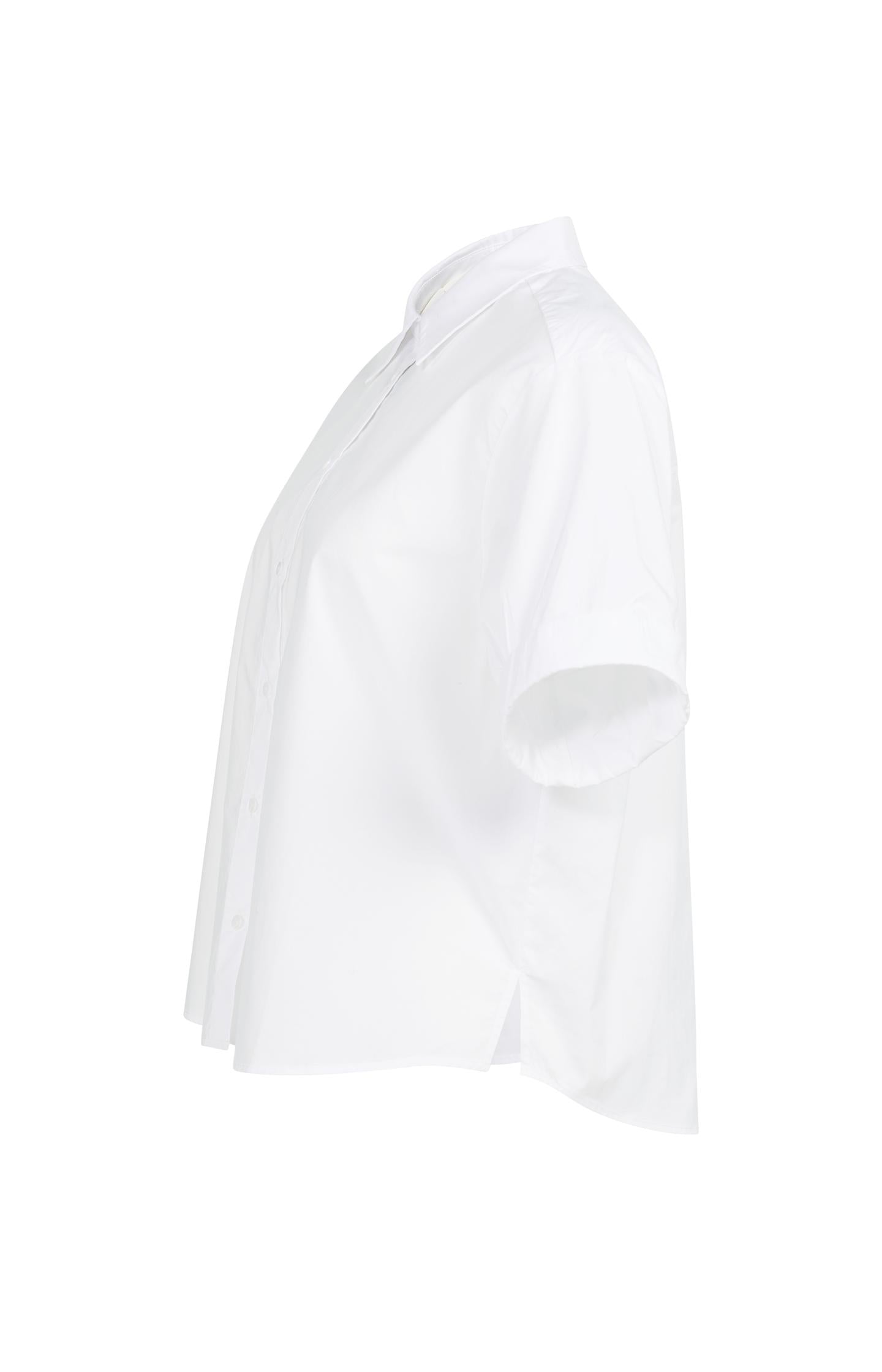 Blouse with short rolled-up sleeves and collar