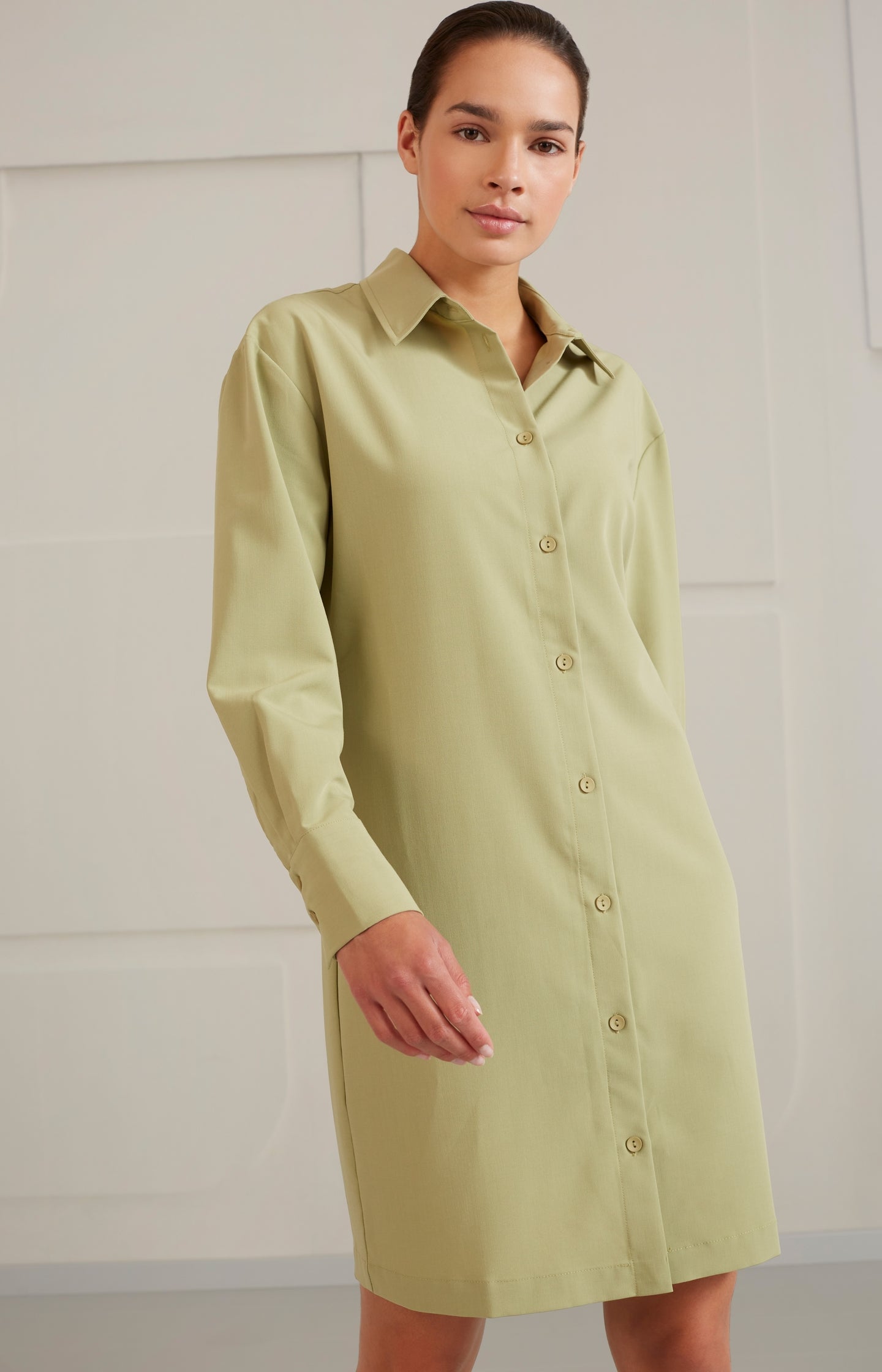 Fitted blouse dress with collar, long sleeves and buttons - Type: lookbook