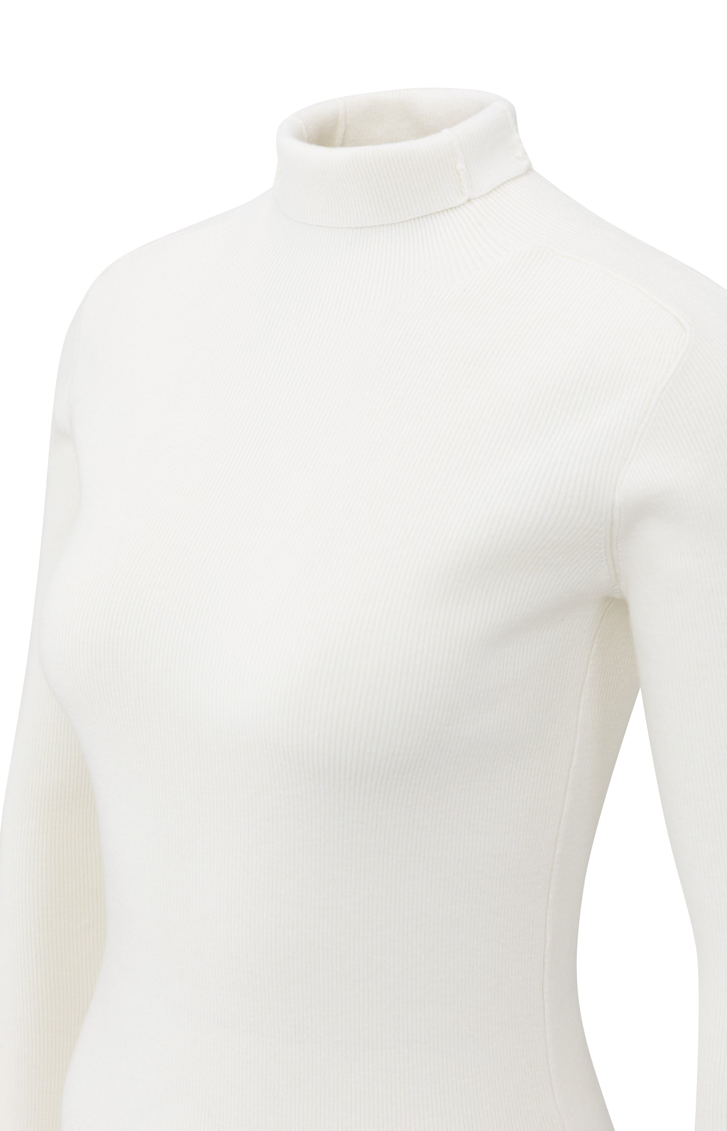 Fitted ribbed top with turtleneck