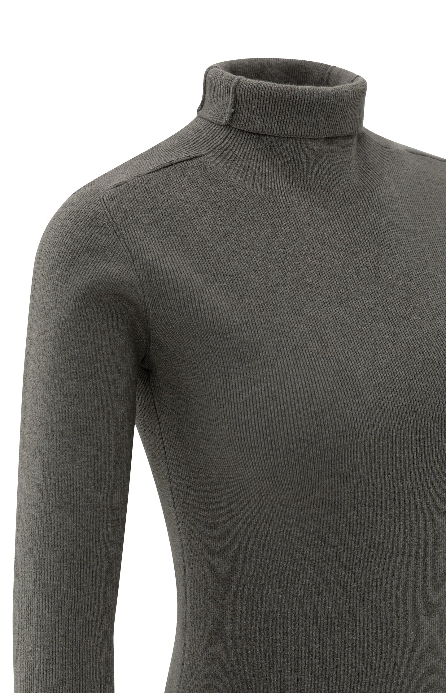 Fitted ribbed top with turtleneck