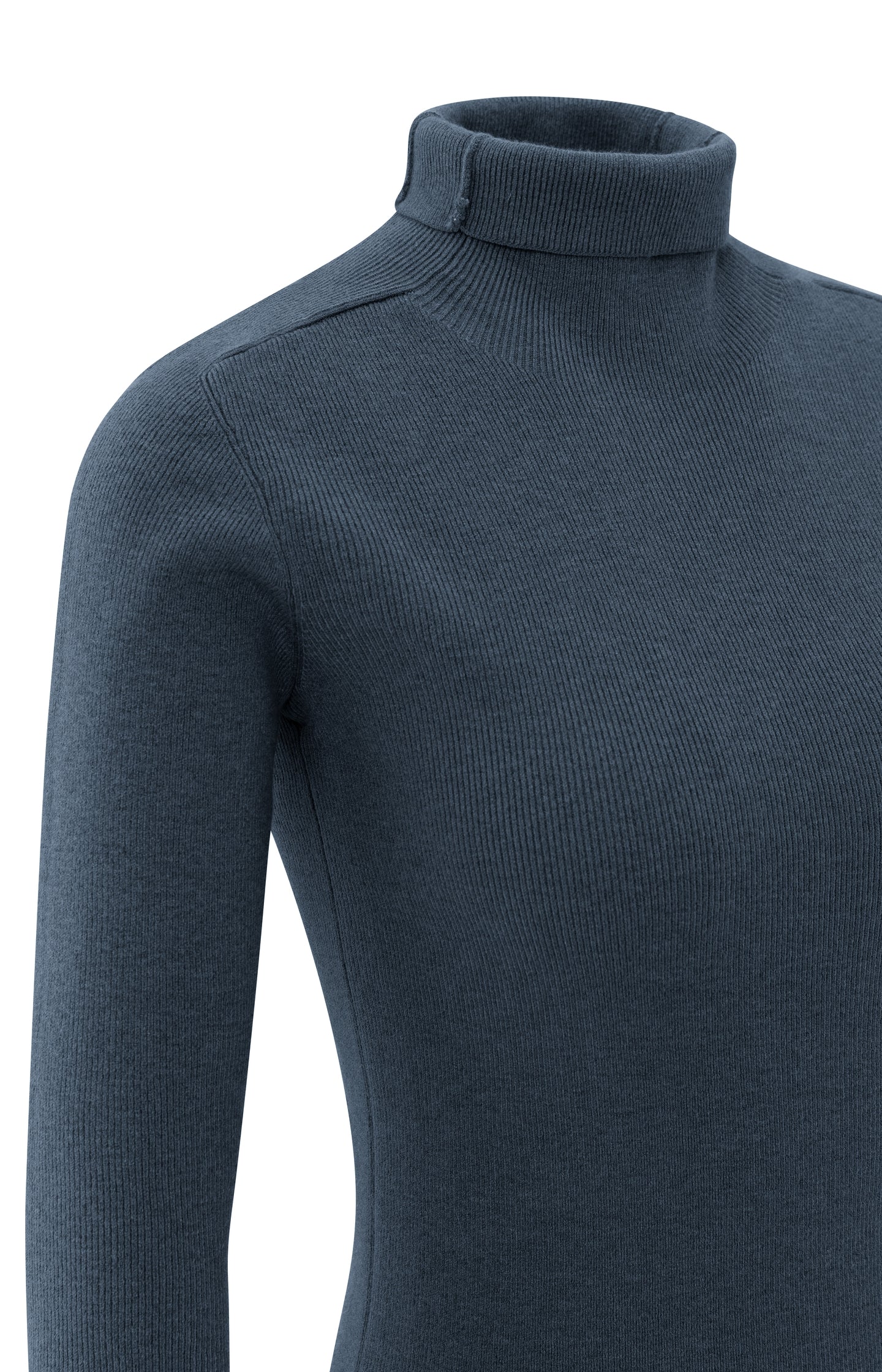 Fitted ribbed top with turtleneck