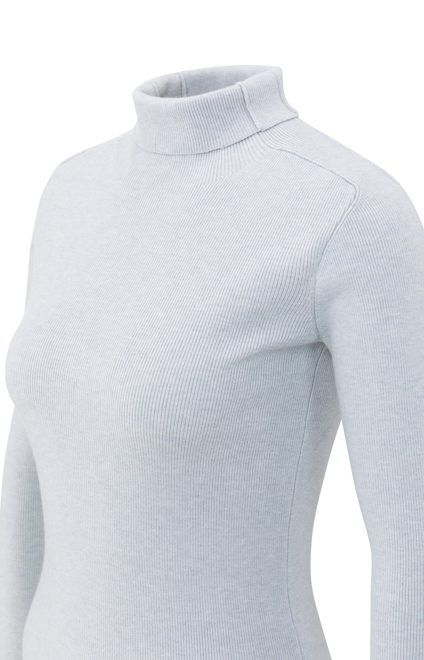 Fitted ribbed top with turtleneck