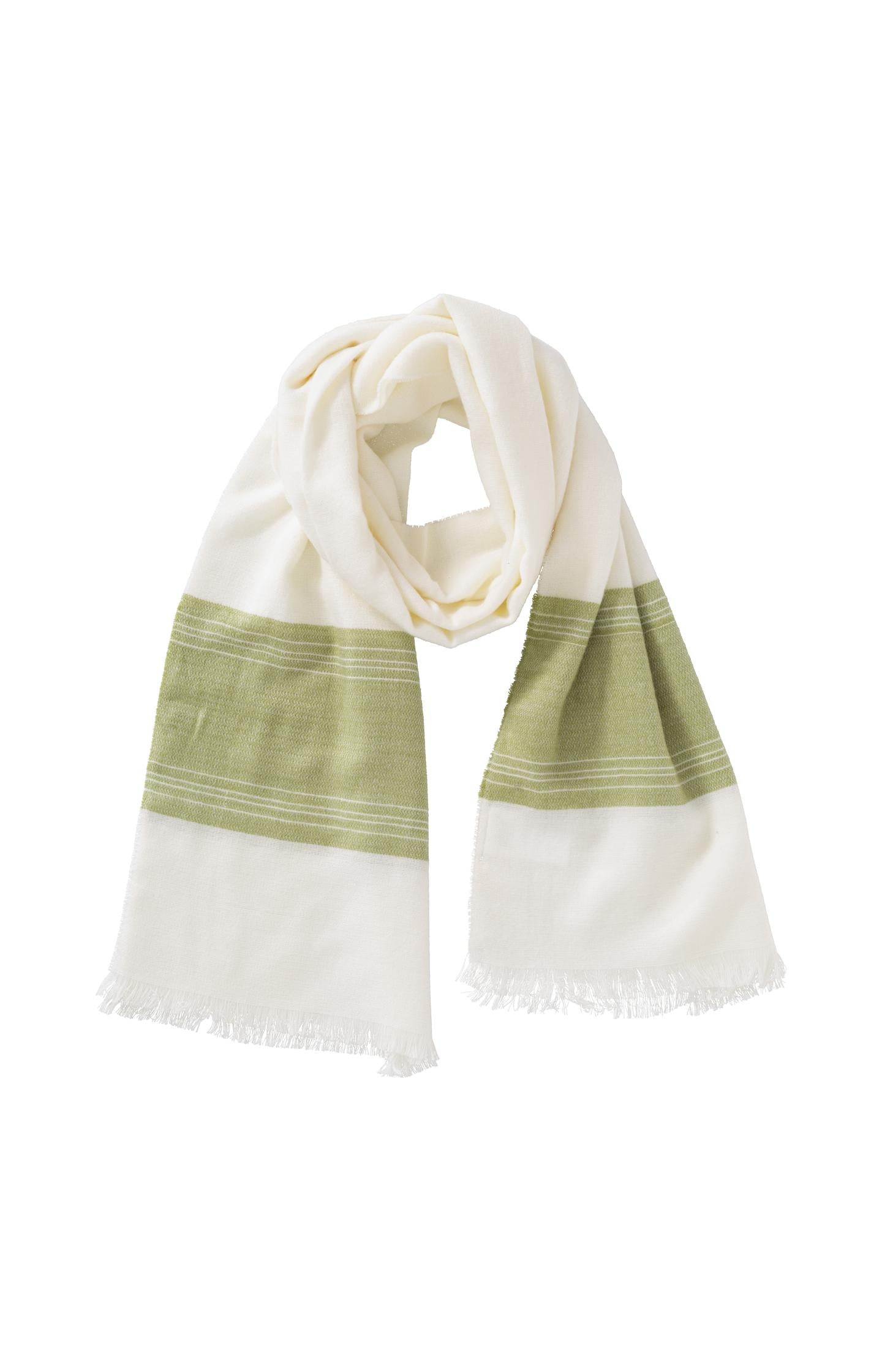 Soft scarf with colored border and fringes - Type: product